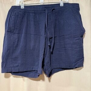 Abercrombie & Fitch Navy Pull-On Textured  Shorts